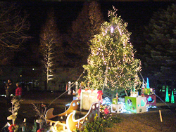 �C���~�l�[�V����