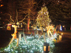 �C���~�l�[�V����