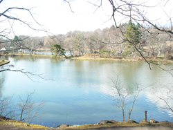 �y���^���A�Z��