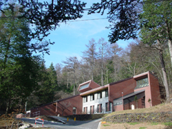 �y��򒬗��}��