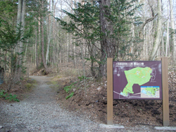 ���R����o�R��