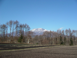 ���z�n��