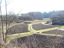 ���z�n��