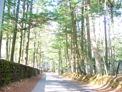 �_��r�ʂ�t��