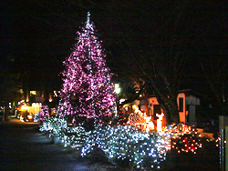 ���y������[�^���[