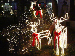 ���y������[�^���[