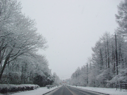 18�����o�C�p�X