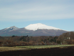 ��P�����