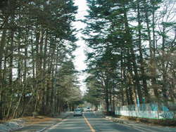 ��P�����