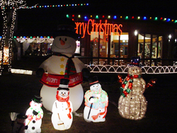 �b�݃V�����[