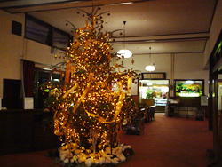 �����z�e��