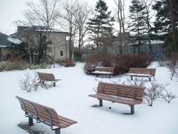 ����ӂ邳�ƌ���