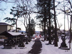 ���q�_��