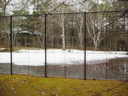 �e�j�X�R�[�g