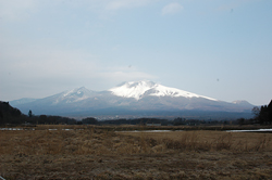 ���n�n��