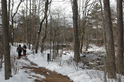 �n���j���e���X