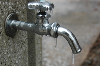 �֌��̃~�j�X��