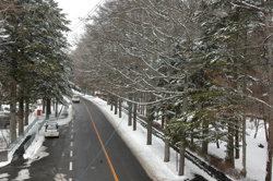 �������w�Z�O