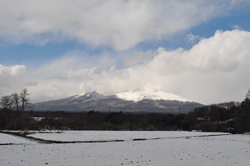 ���z�n��