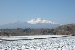 ���z�n��