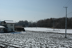 ���z�n��