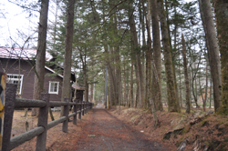 ���X�g�{�[�����[��