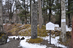 �n���ϐ�����