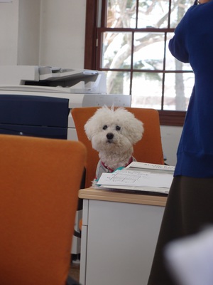 P1221096.JPGのサムネイル画像