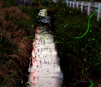 名称未設定1 のコピー.jpg