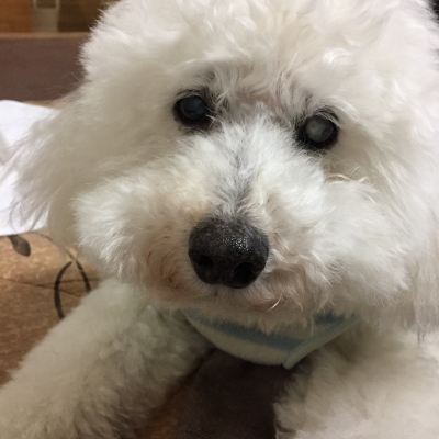 IMG_0143 (400x400).jpg