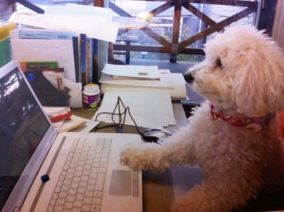 IMG_7795 (400x299).jpg