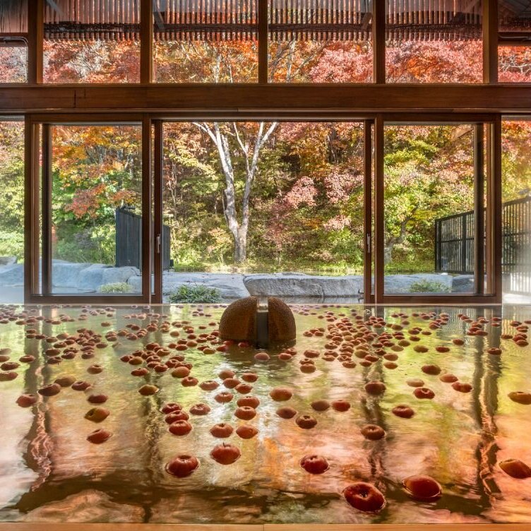 軽井沢森のりんご日和