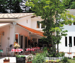 ピットーレ小左写真