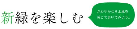 新緑を楽しむ