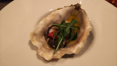 DSC_2533 (400x225).jpg