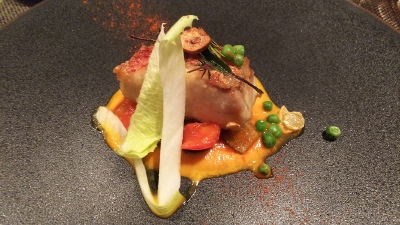 DSC_2534 (400x225).jpg