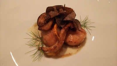 DSC_2537 (400x225) (400x225).jpg