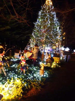 矢ヶ崎公園イルミネーション