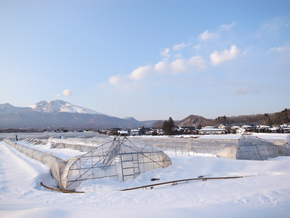 初めて経験する積雪量