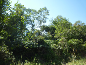 10万㎡のメガソーラー計画