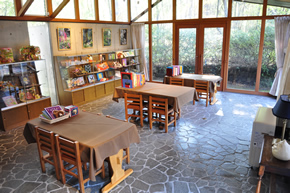 絵本や玩具の学習プログラム開始