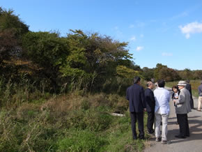 視察する自然保護審議会の委員