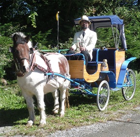 ポニー馬車、運行開始