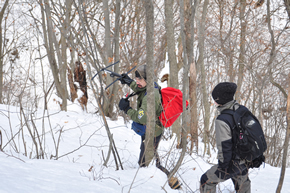 クマの行動範囲