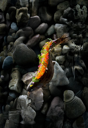 世界料理写真コンクールで日本人初の優勝