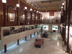 軽井沢町植物園の展示館