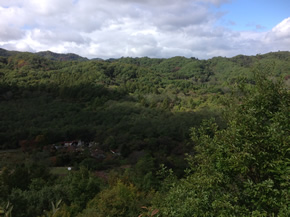 東南の丘の上から写した写真