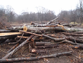 住民たちが復元の募金運動