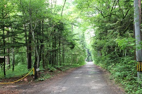 基準地価、軽井沢の商業地は
7年ぶりに上昇