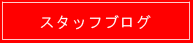 スタッフブログ